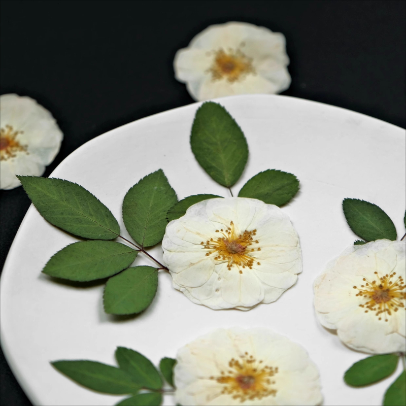 6pcs,9pcs,Nature White Rose Pr - Resin Craft Ideas ulasan dan harga