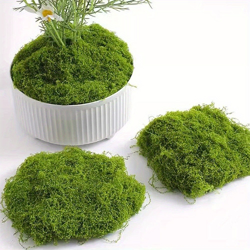 Green Fake Moss DIY Crafts Gra - Terrarium Moss Art ulasan dan harga